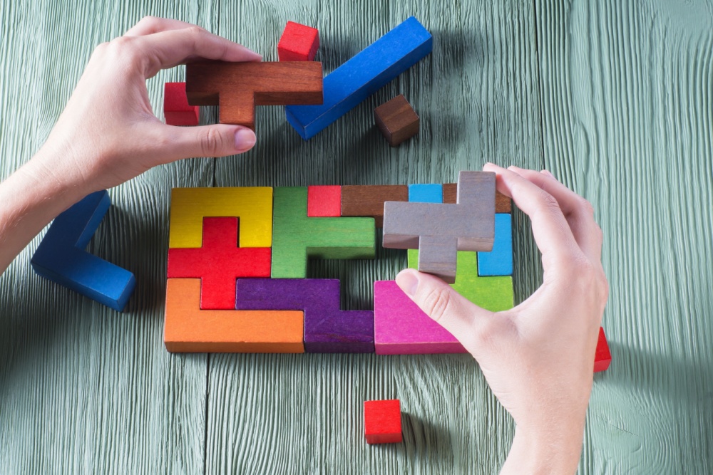 Building Blocks for a Flexible Mind
