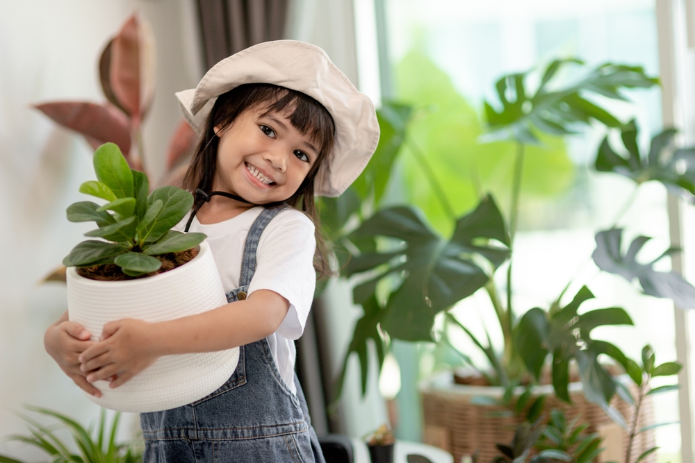 Grow Your Own Fresh Air