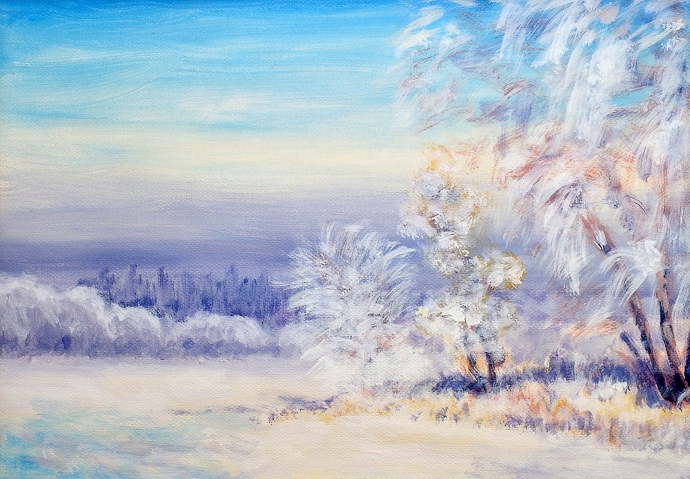 Where the Snow Settles