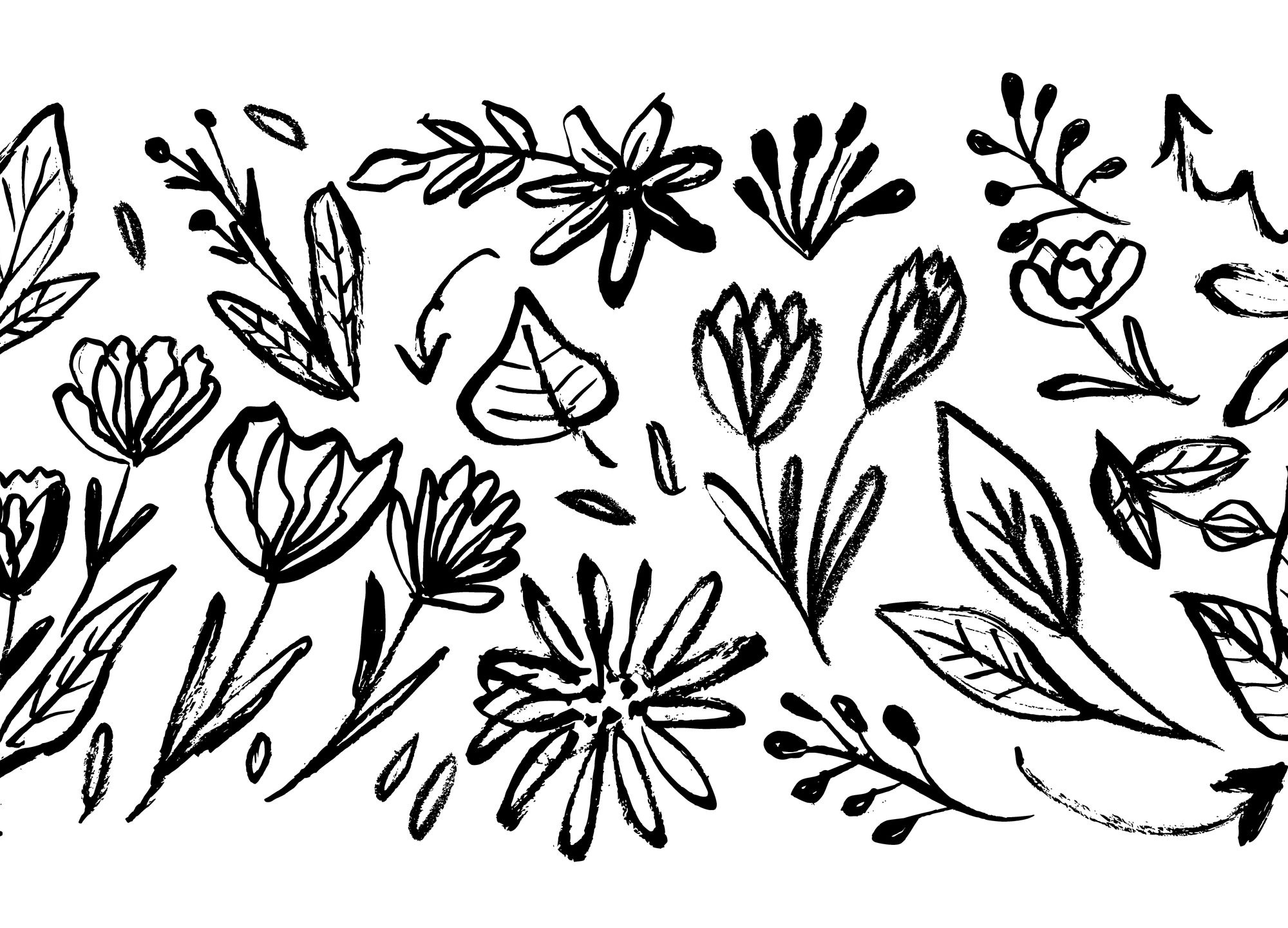 Learning to See: Drawing Basics