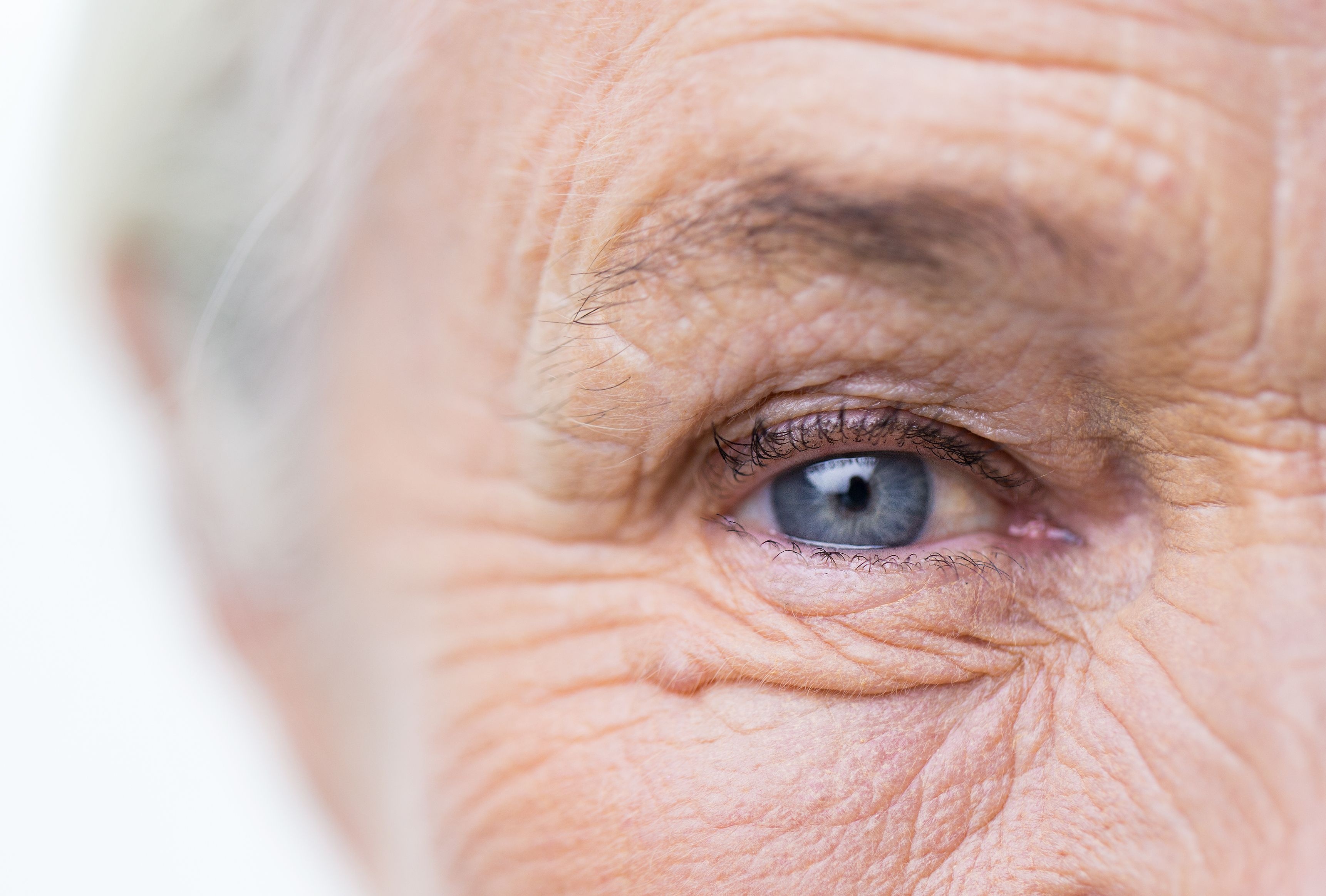 Eye Care Essentials
