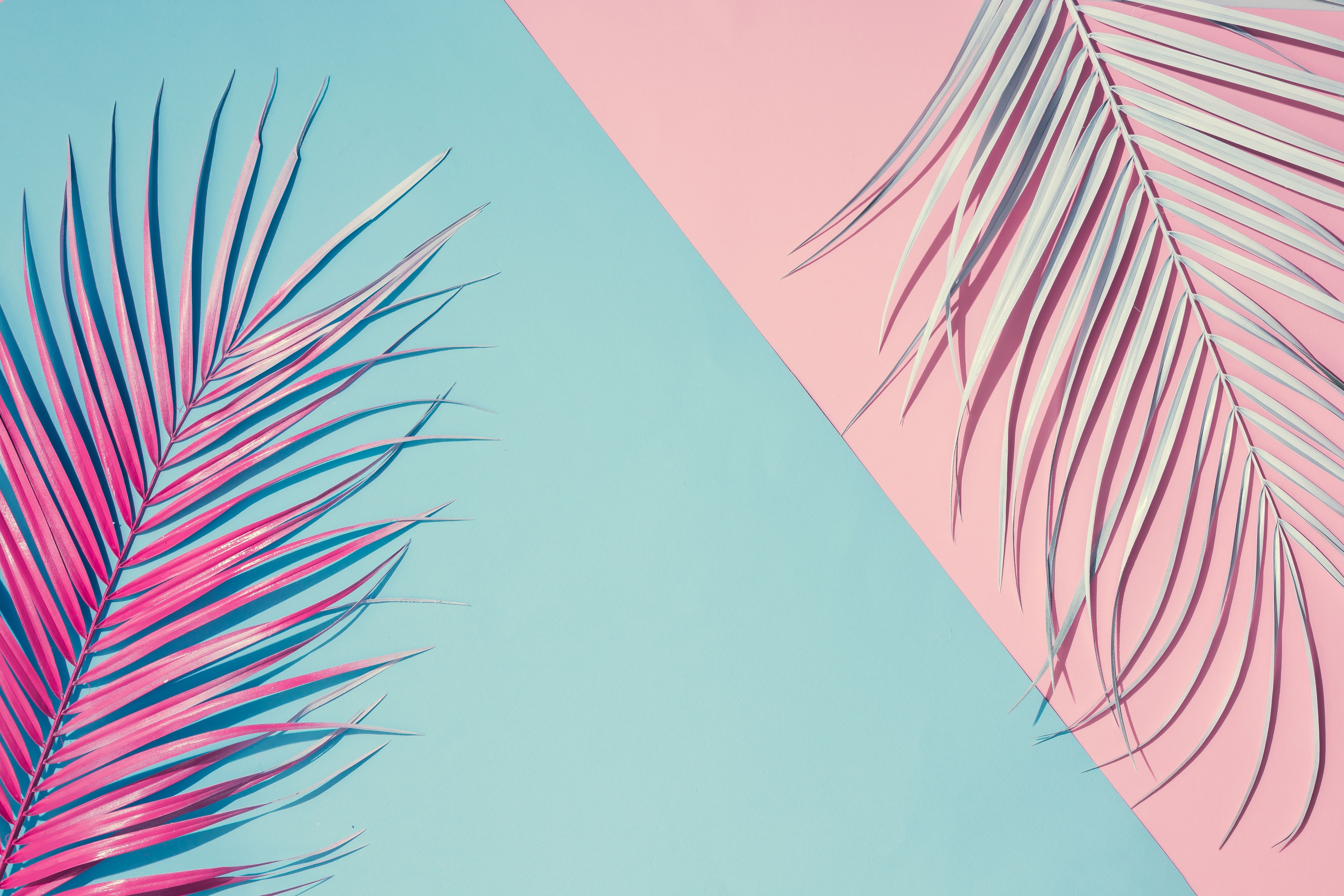 Hues of Summer