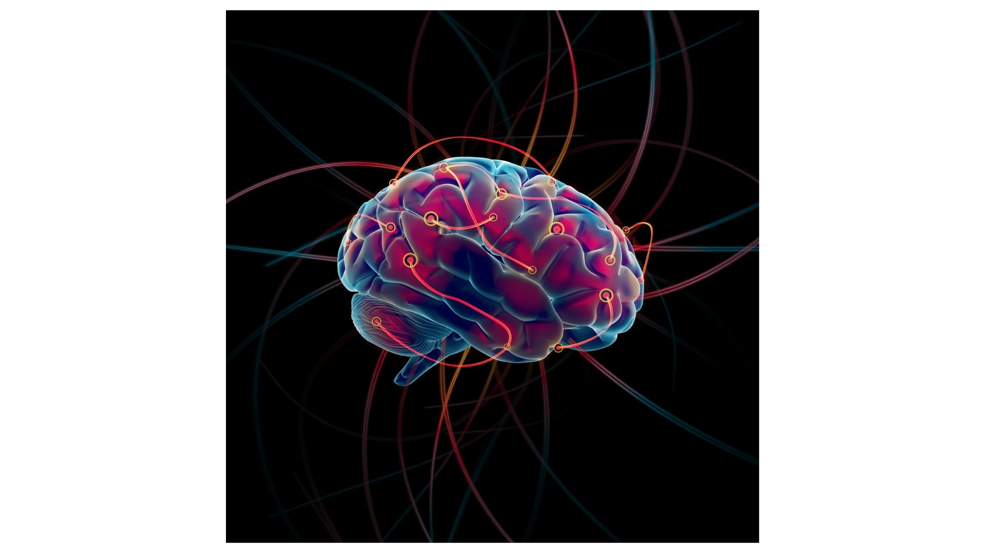 Blood Flow & the Blood-Brain Barrier