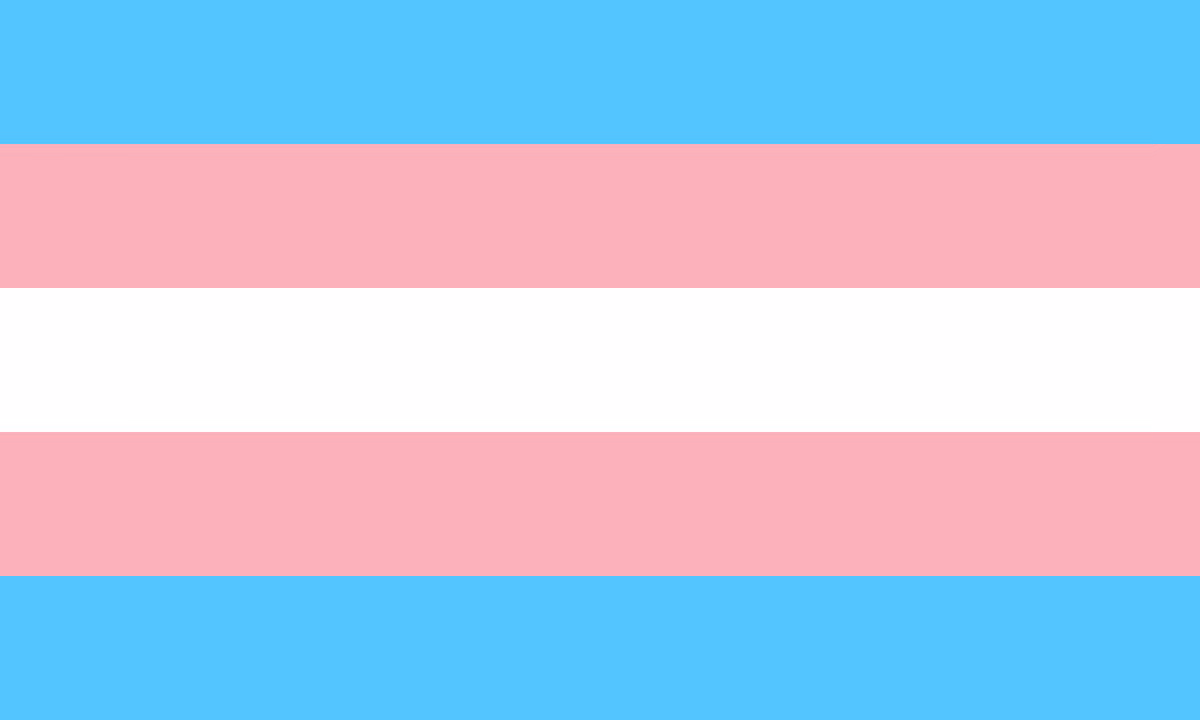 Trans flag