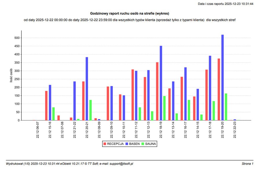 Przykładowy godzinny raport ruchu osób na basenie z podziałem na strefy.