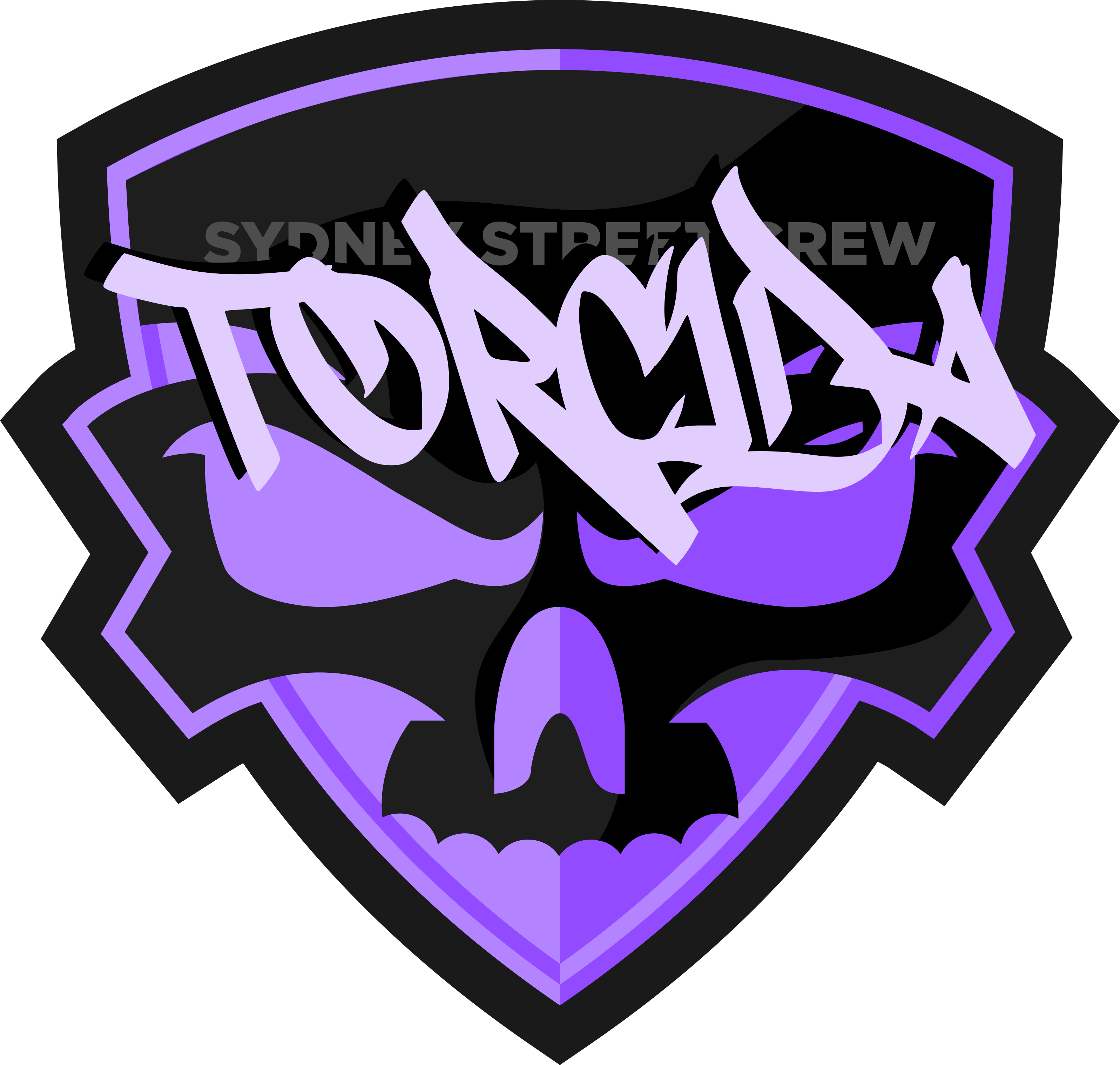 SSC TORCIDA LOGO