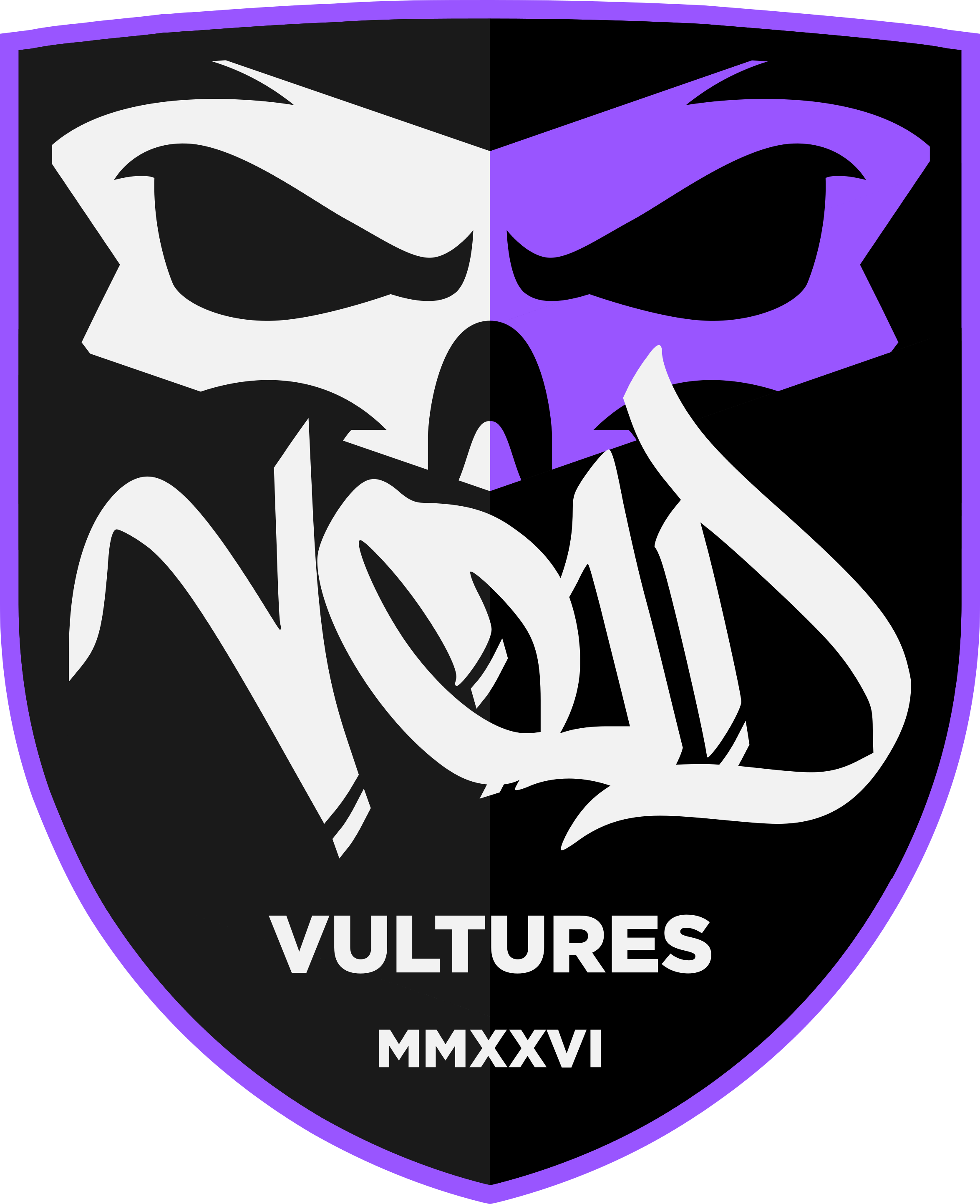 VOID VULTURES BADGE