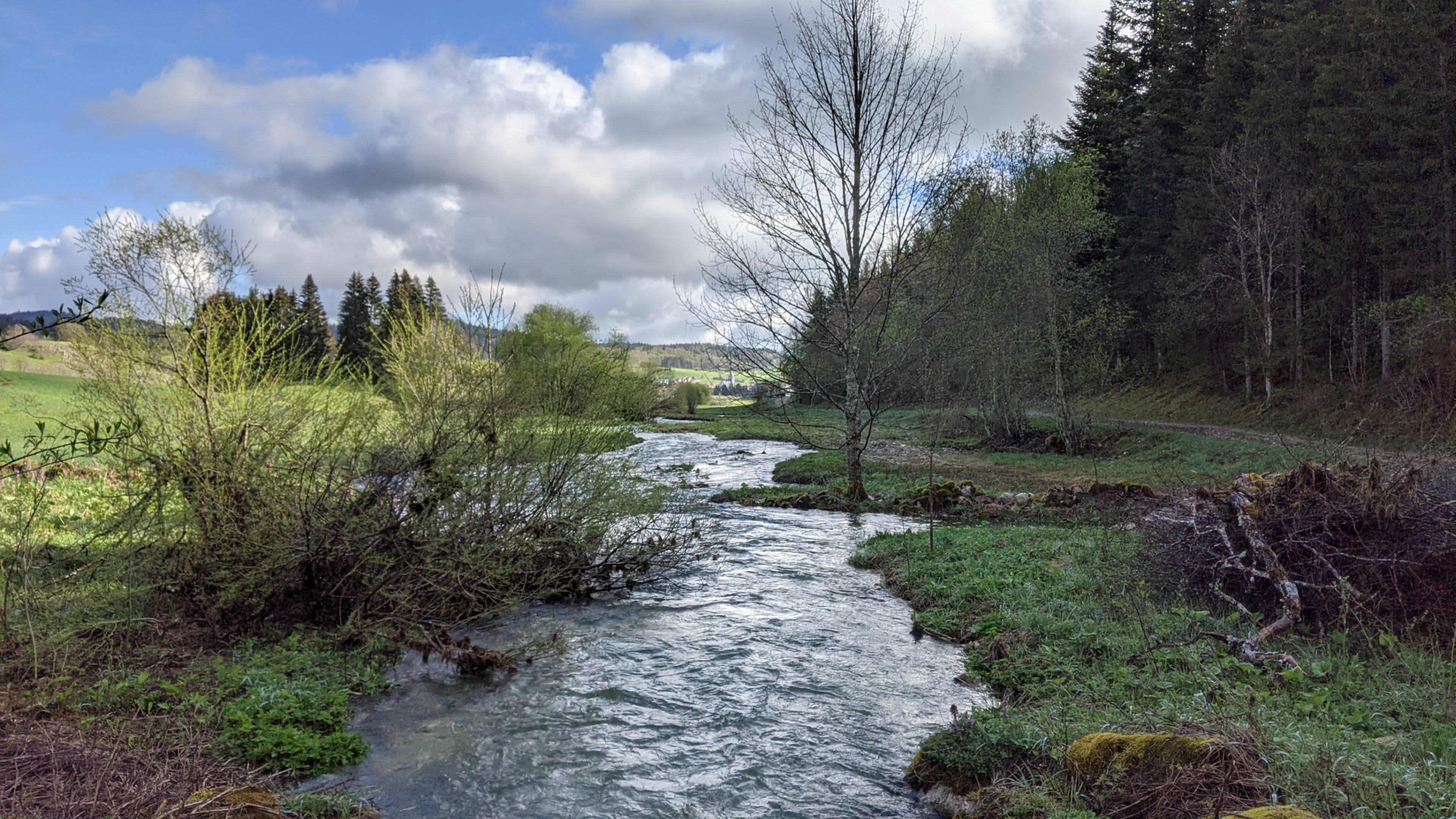 Savon biodégradable pour bivouac