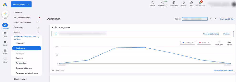 Google Ads audience