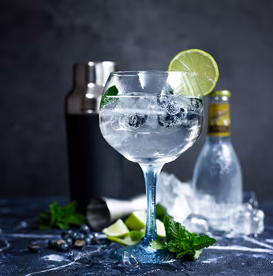 Gin and tonic with lime and blueberries