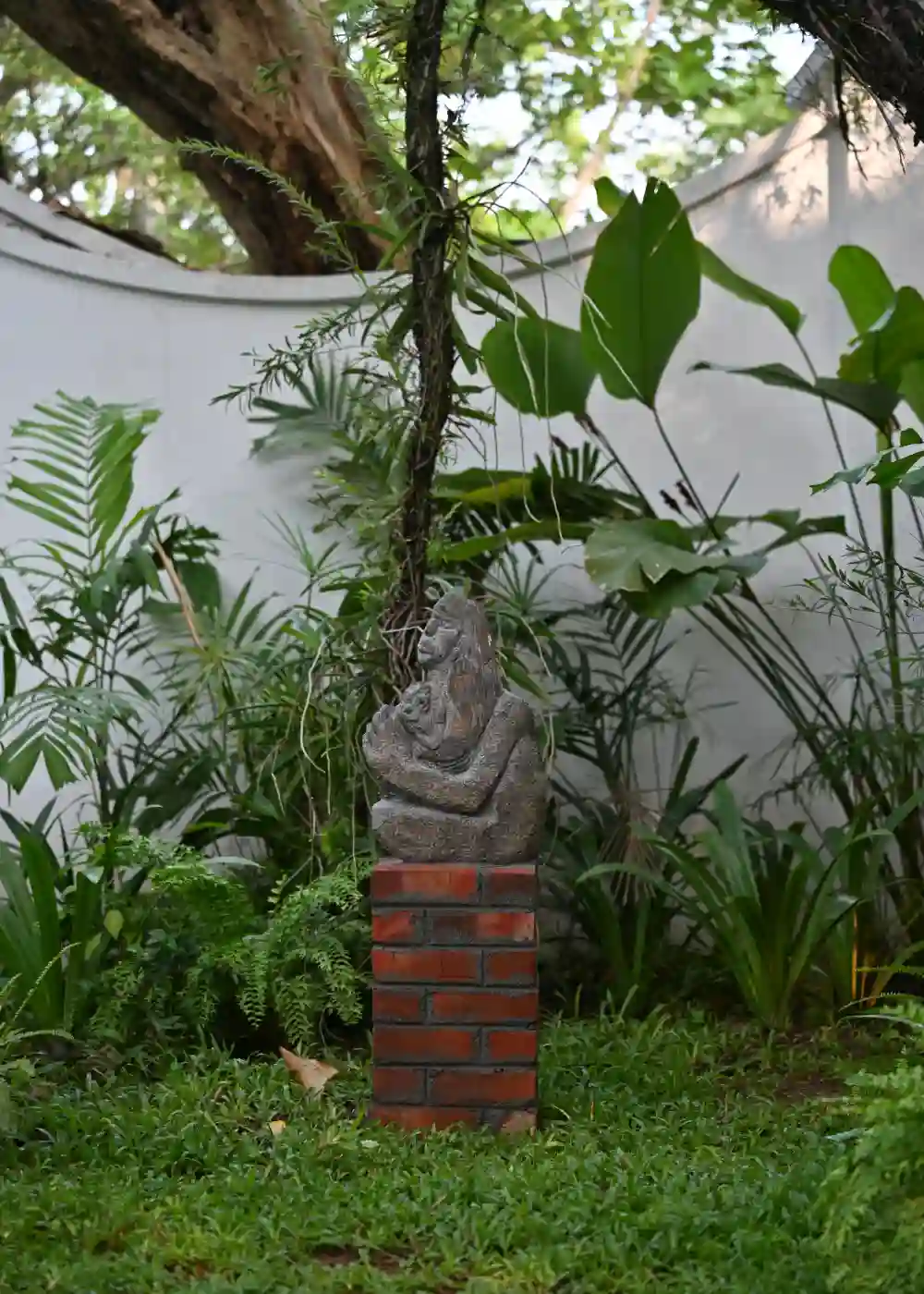 Kara Hotel fort Kochi