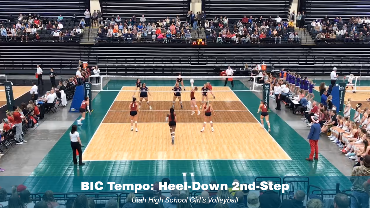 Bic Volleyball Tempo & Timing