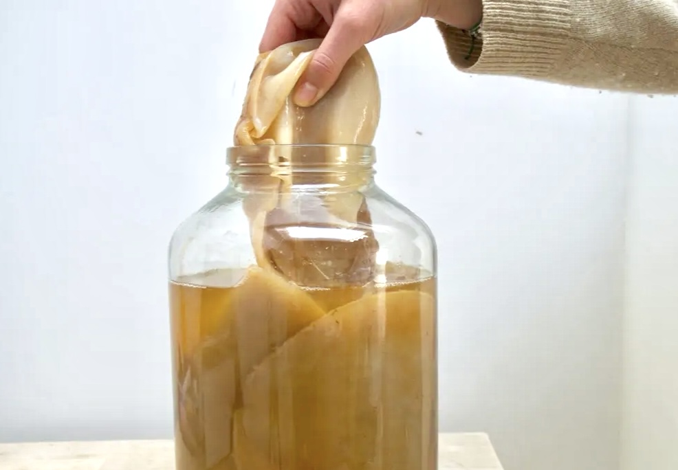 What is Kombucha, Really?