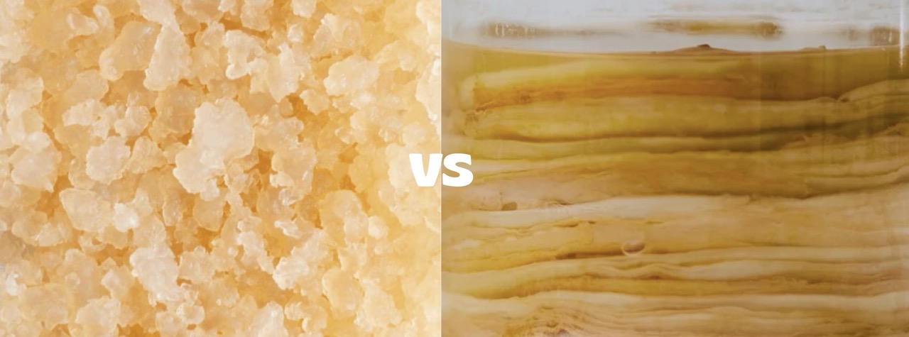 La kombucha et le kéfir d'eau, c'est la même chose ?