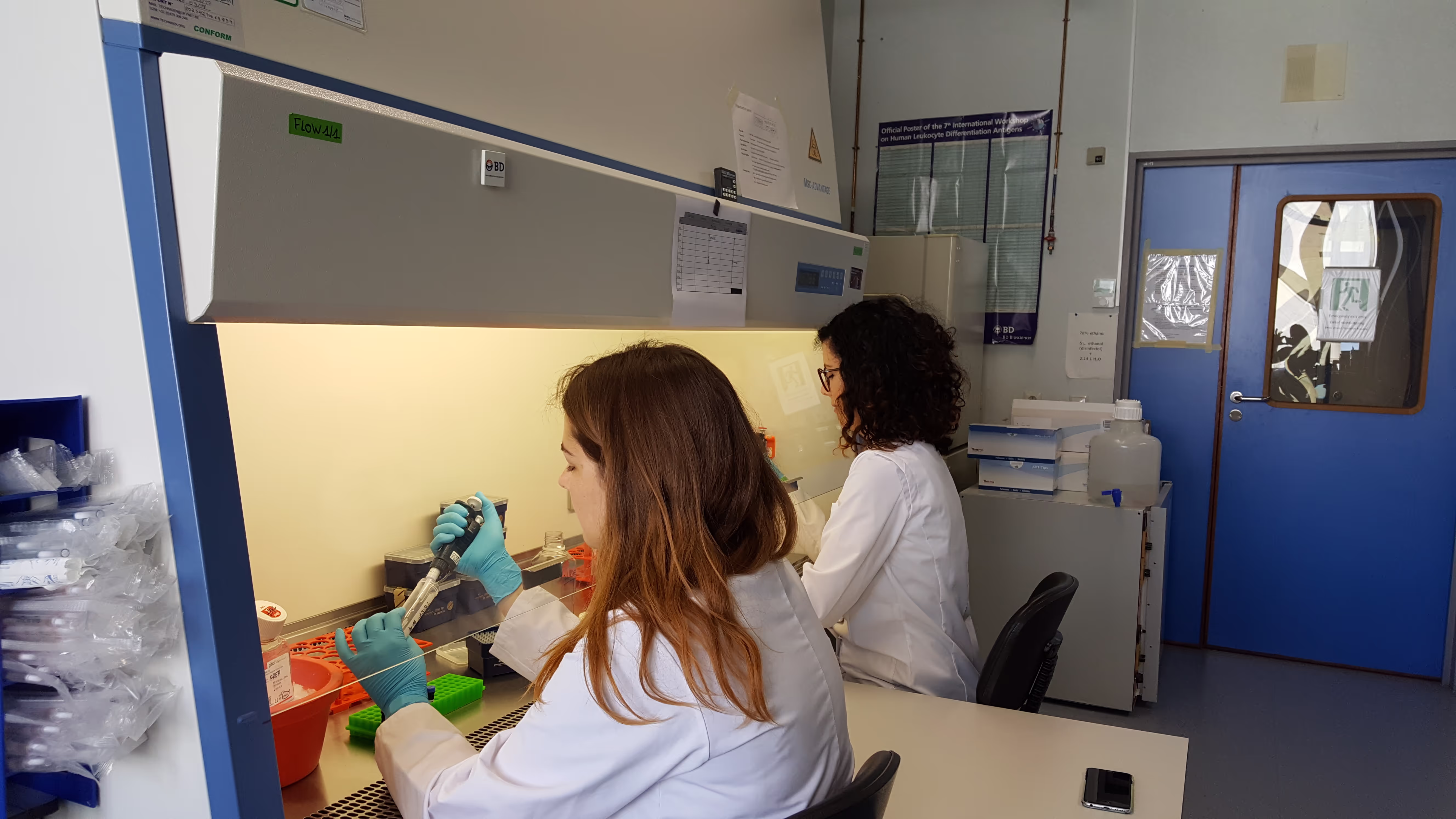 Carpe Diem Fund For Diabetes Research