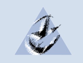Mini-Symposium: Random Graphs and Complex Networks