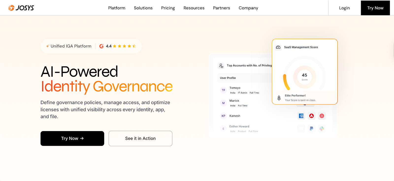 Joyss homepage with the header AI-Powered Identity Governance and description