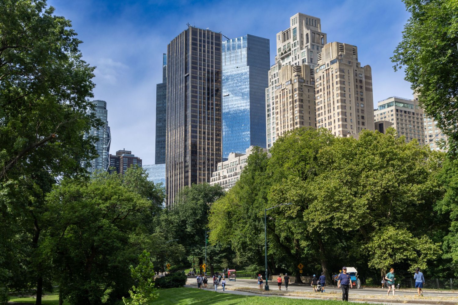 Central Park with Midtown towers behind the trees