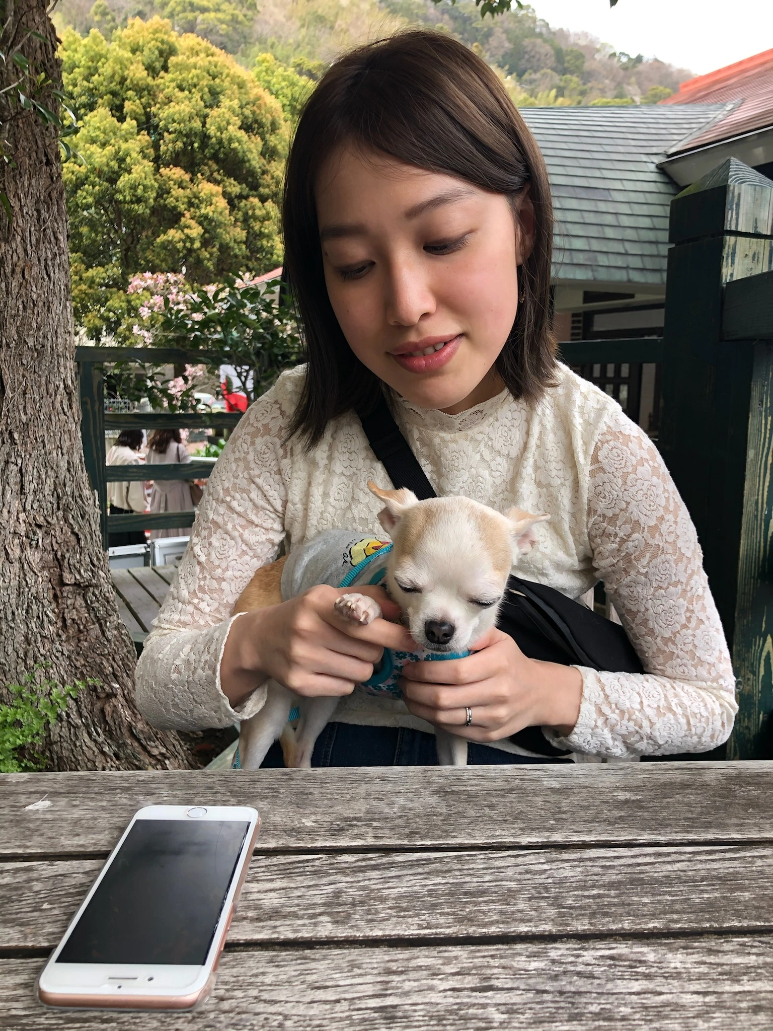 Fluv Pet Sitter - TOMOE