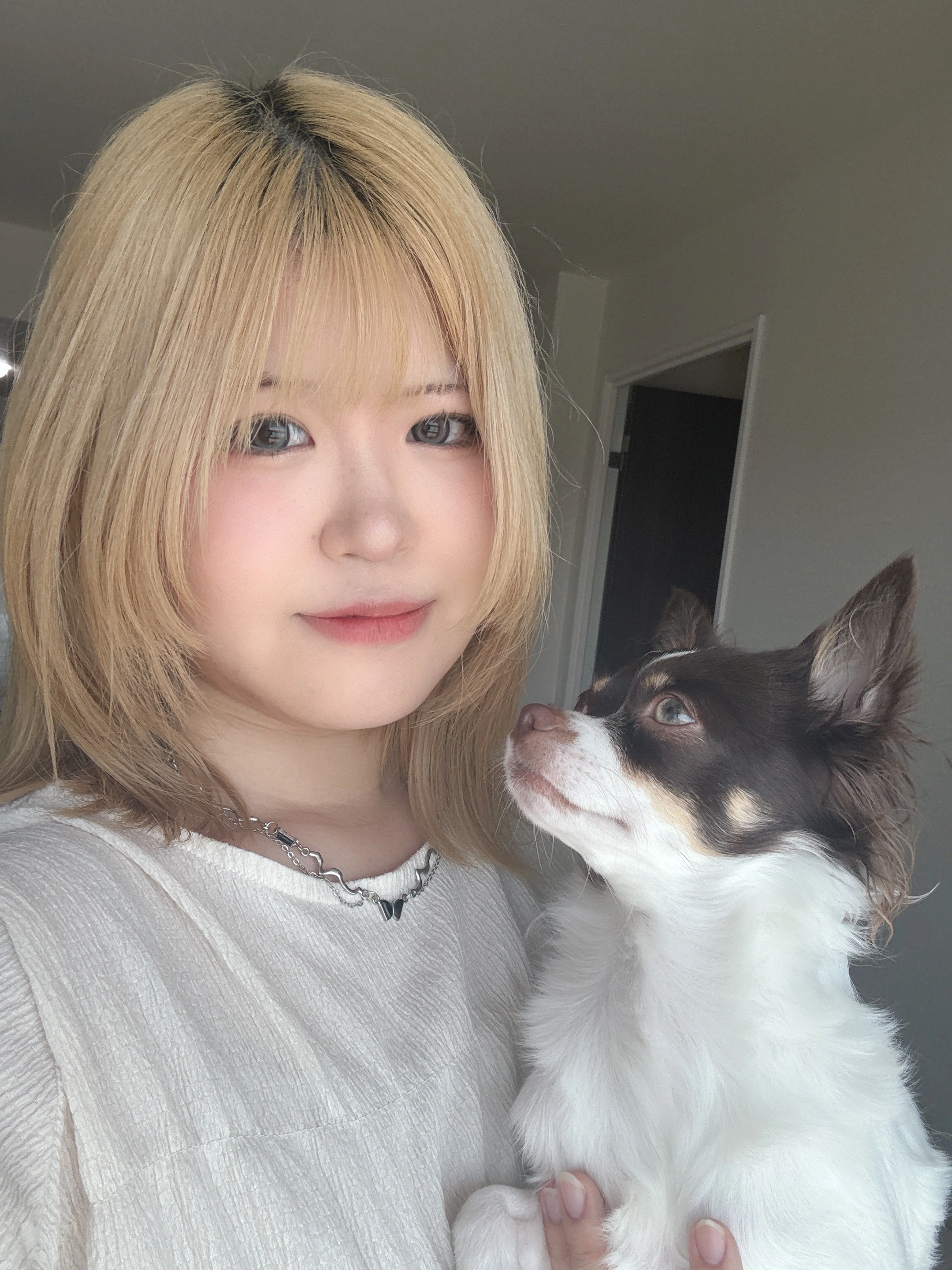 Fluv Pet Sitter - TOMOE
