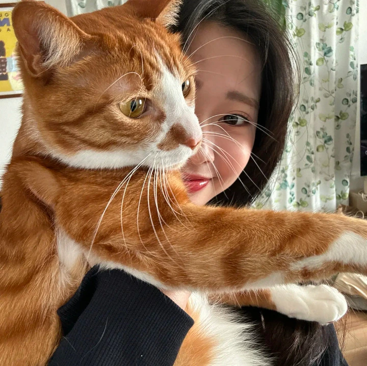 Fluv Pet Sitter - Saito