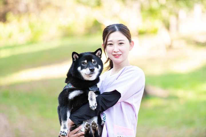 Fluv Pet Sitter - TOMOE