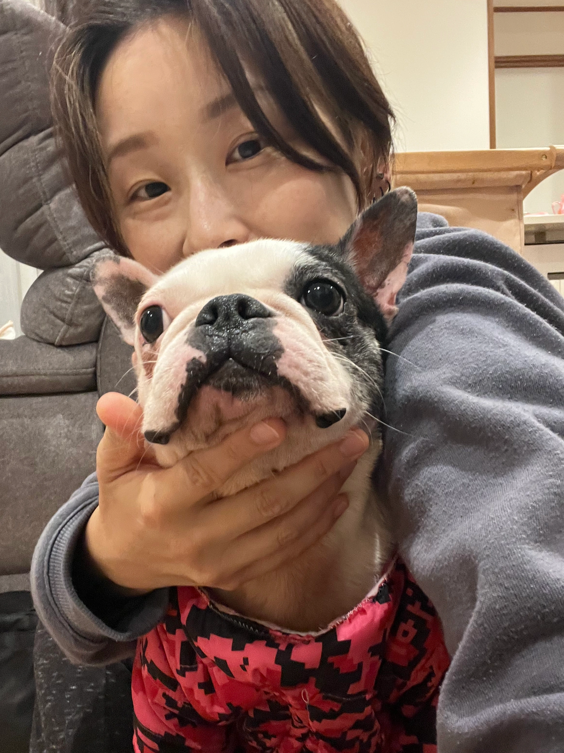 Fluv Pet Sitter - TOMOE