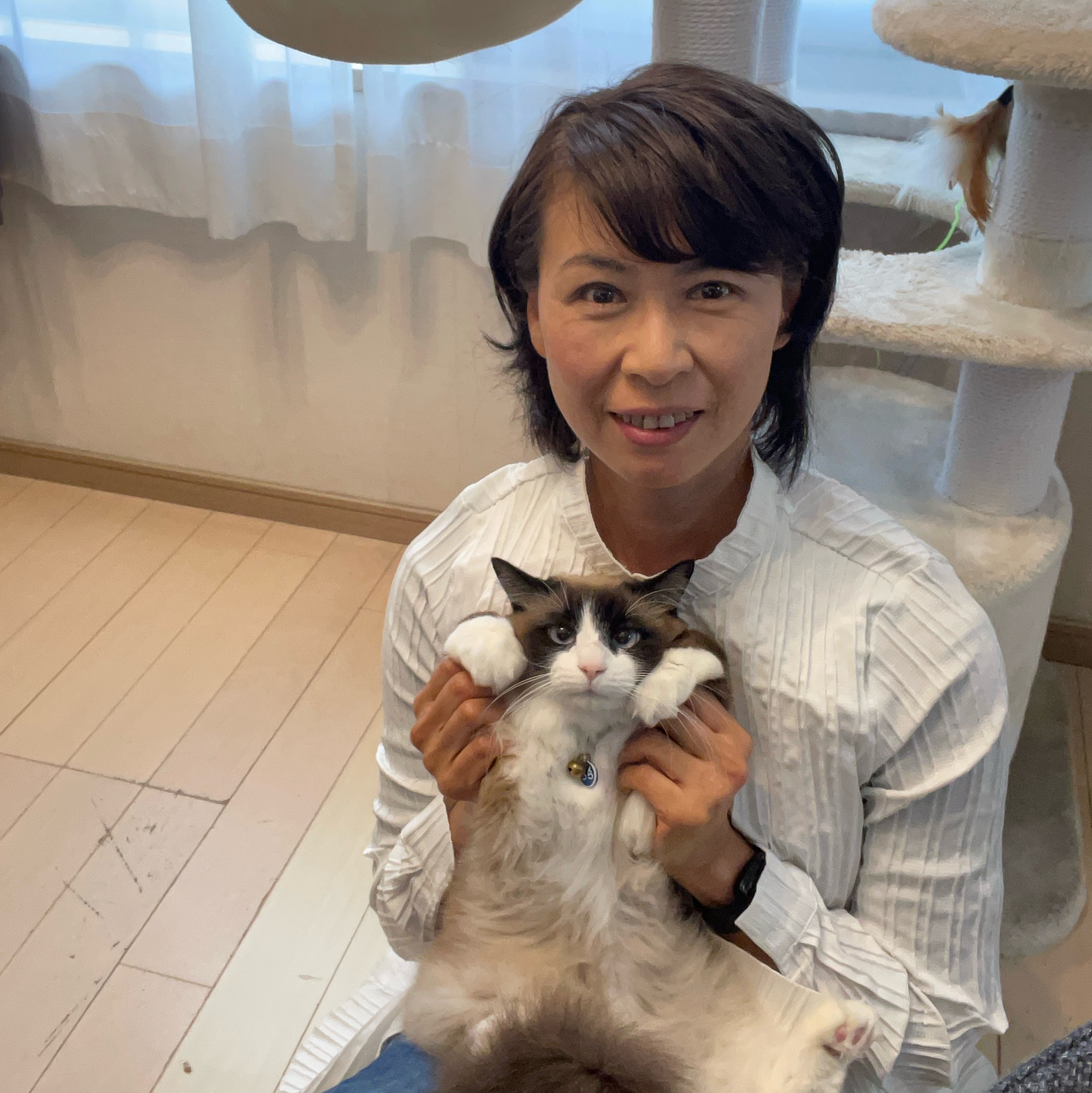 Fluv Pet Sitter - TOMOE