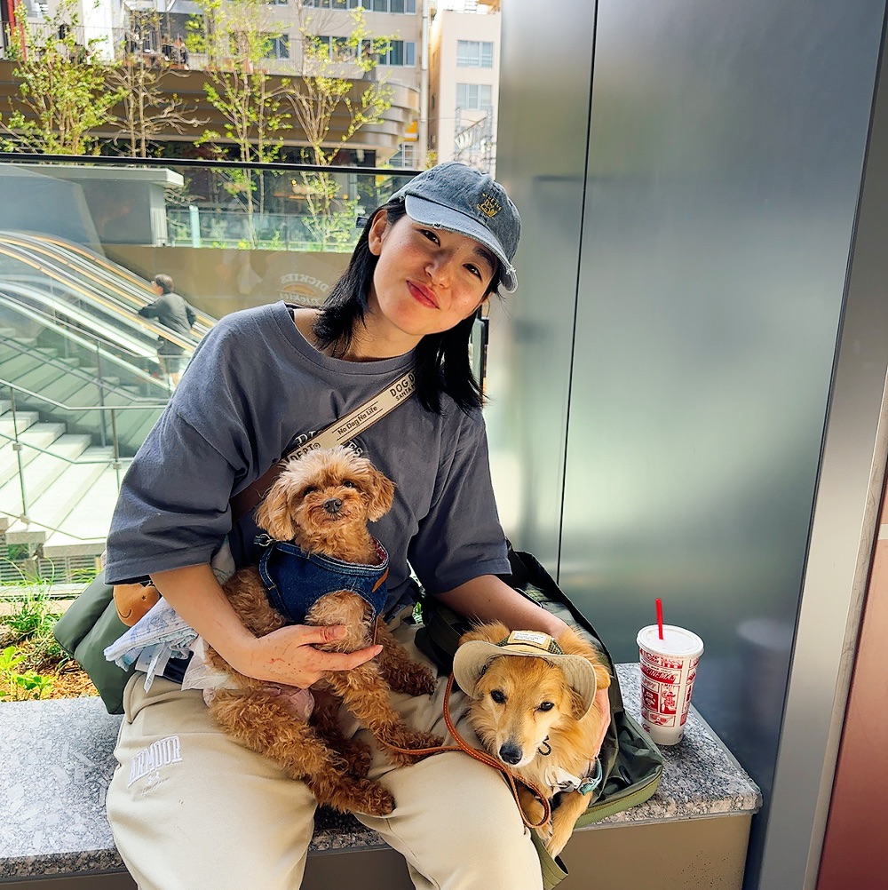 Fluv Pet Sitter - TOMOE