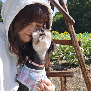 Fluv Pet Sitter - Yuka