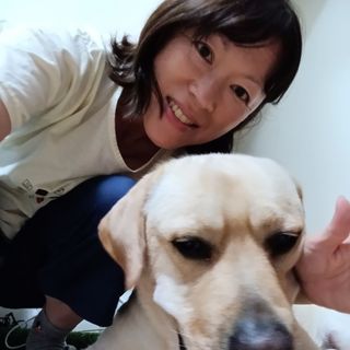 Fluv Pet Sitter - Mayo