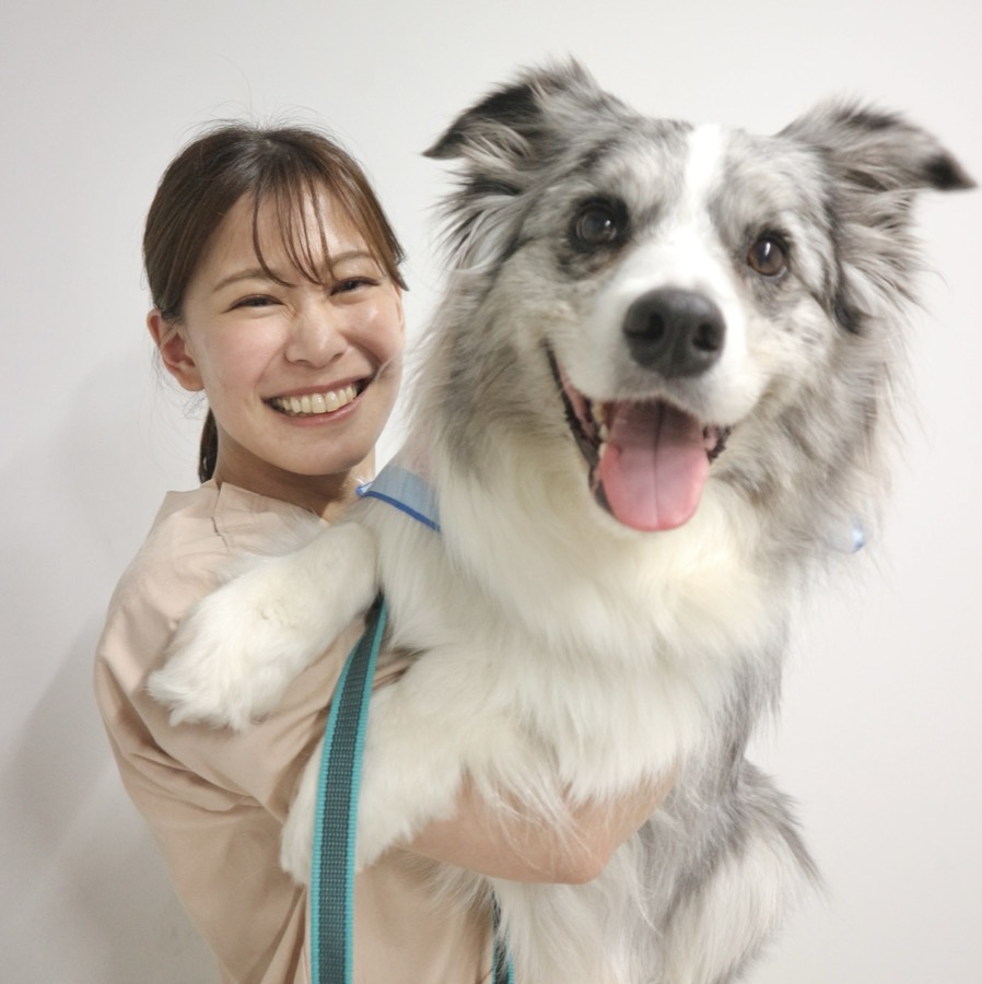 Fluv Pet Sitter - Sae Akizawa