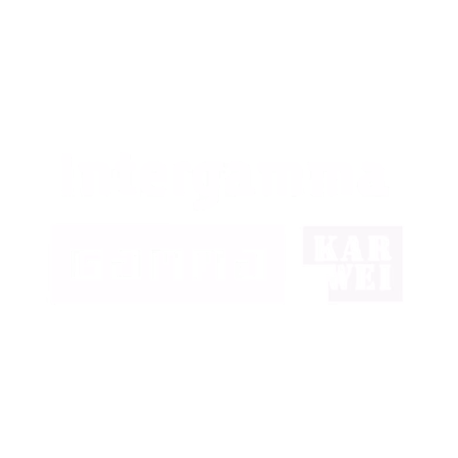 Intergamma wit logo