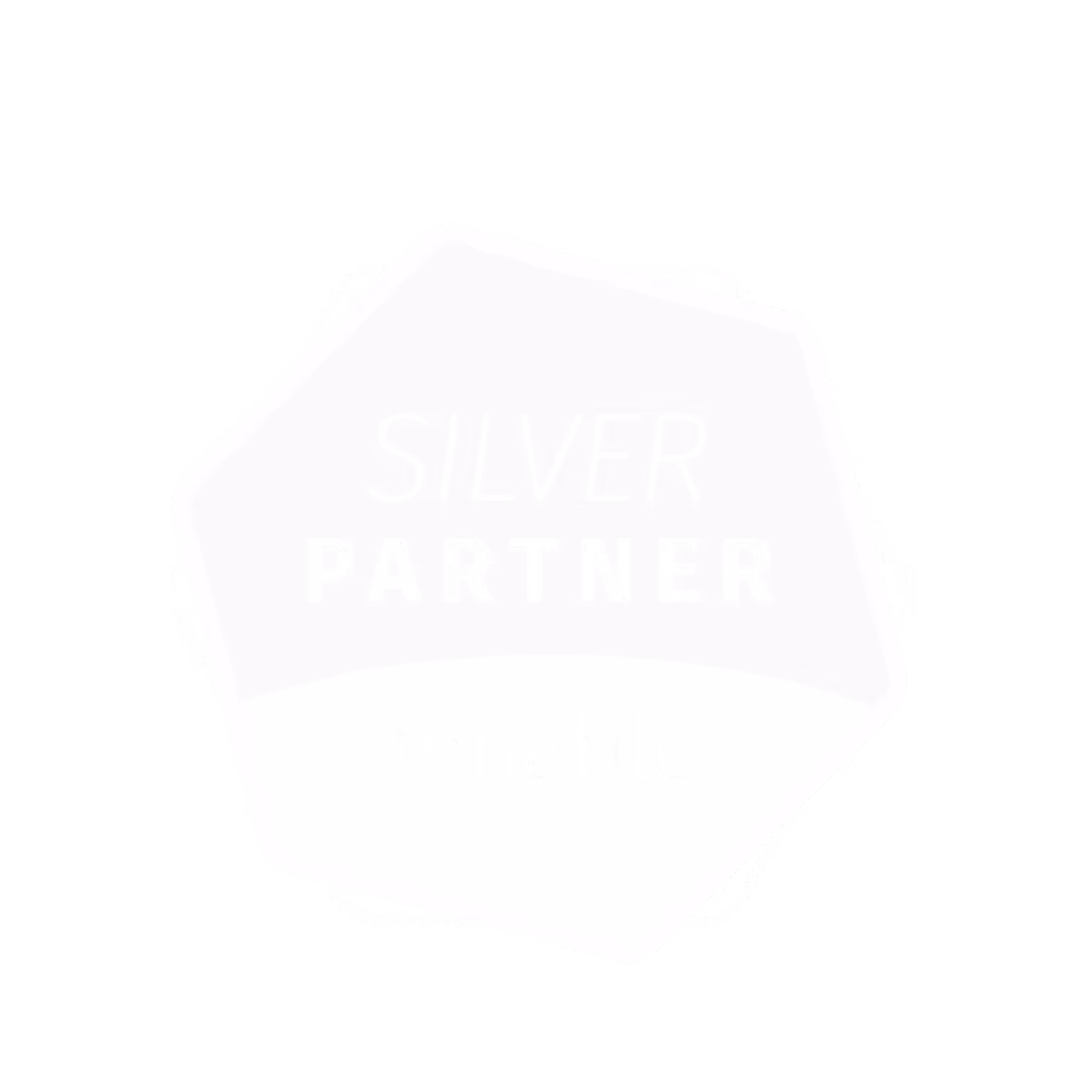 Tenable Assure Silver Partner