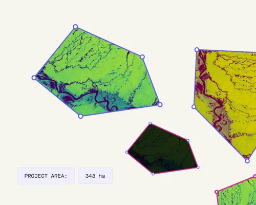 Mapped carbon project polygons over satellite imagery of Mozambican miombo
