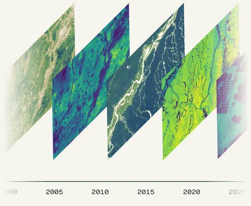 Annual biomass time series across a project area
