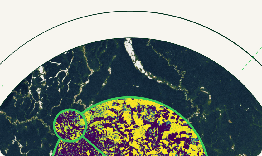 Gridded biomass surface rendered over satellite imagery