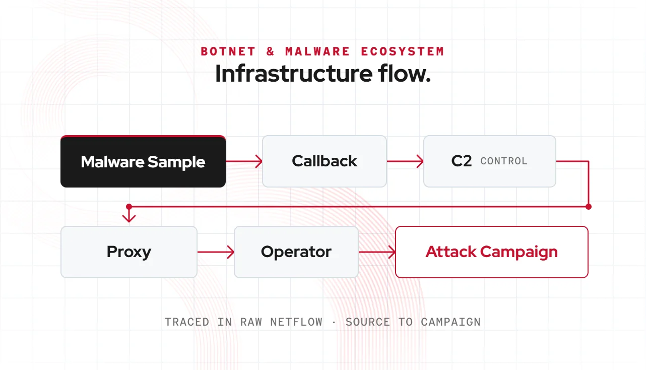 Botnet and malware infrastructure flow traced in raw NetFlow: malware sample to callback, C2, proxy, operator, and attack campaign