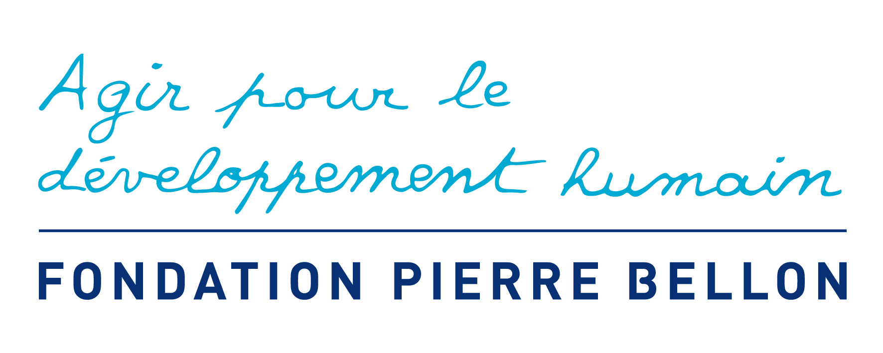 Fondation Pierre Bellon 