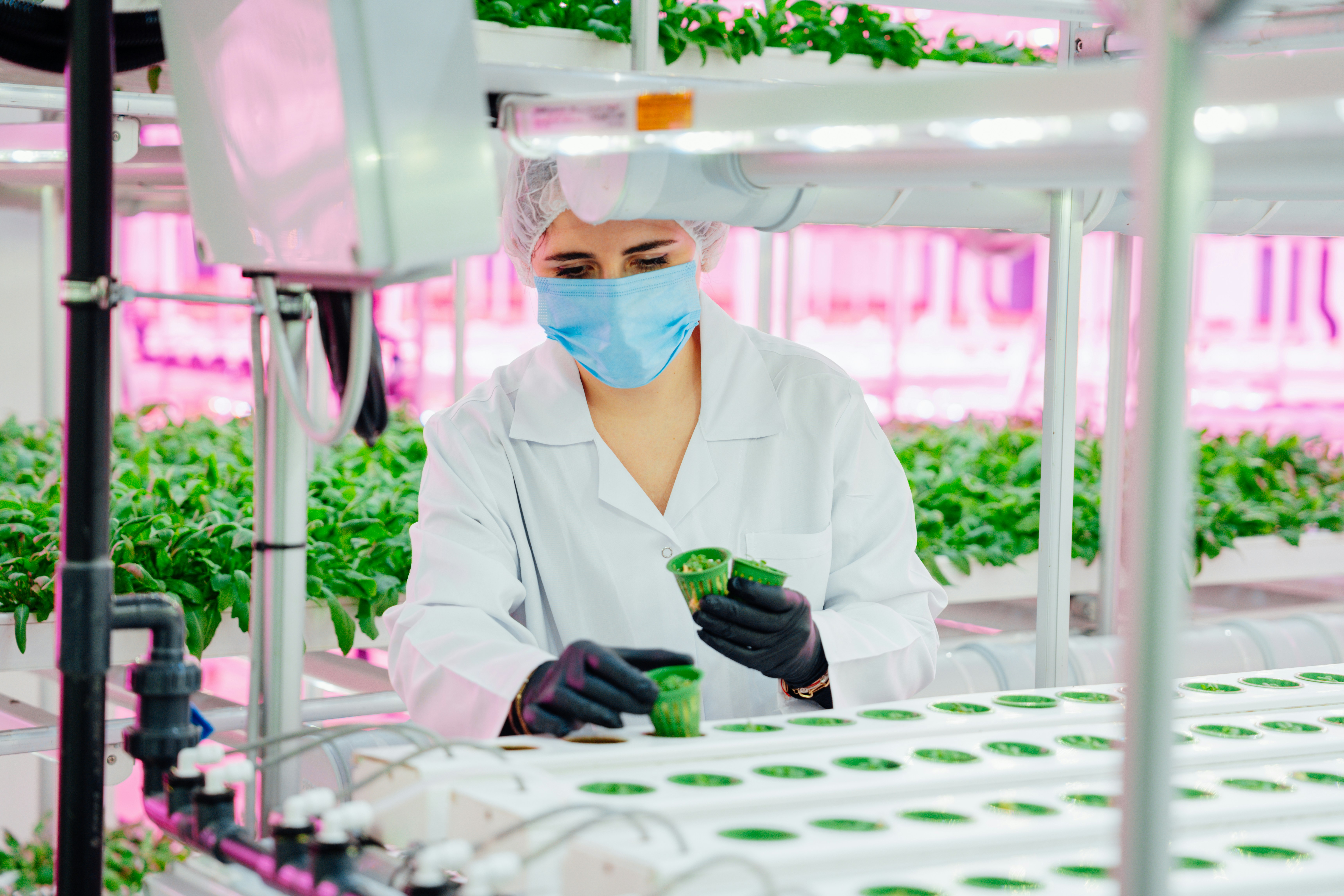 Overcoming barriers to agritech adoption in the UK