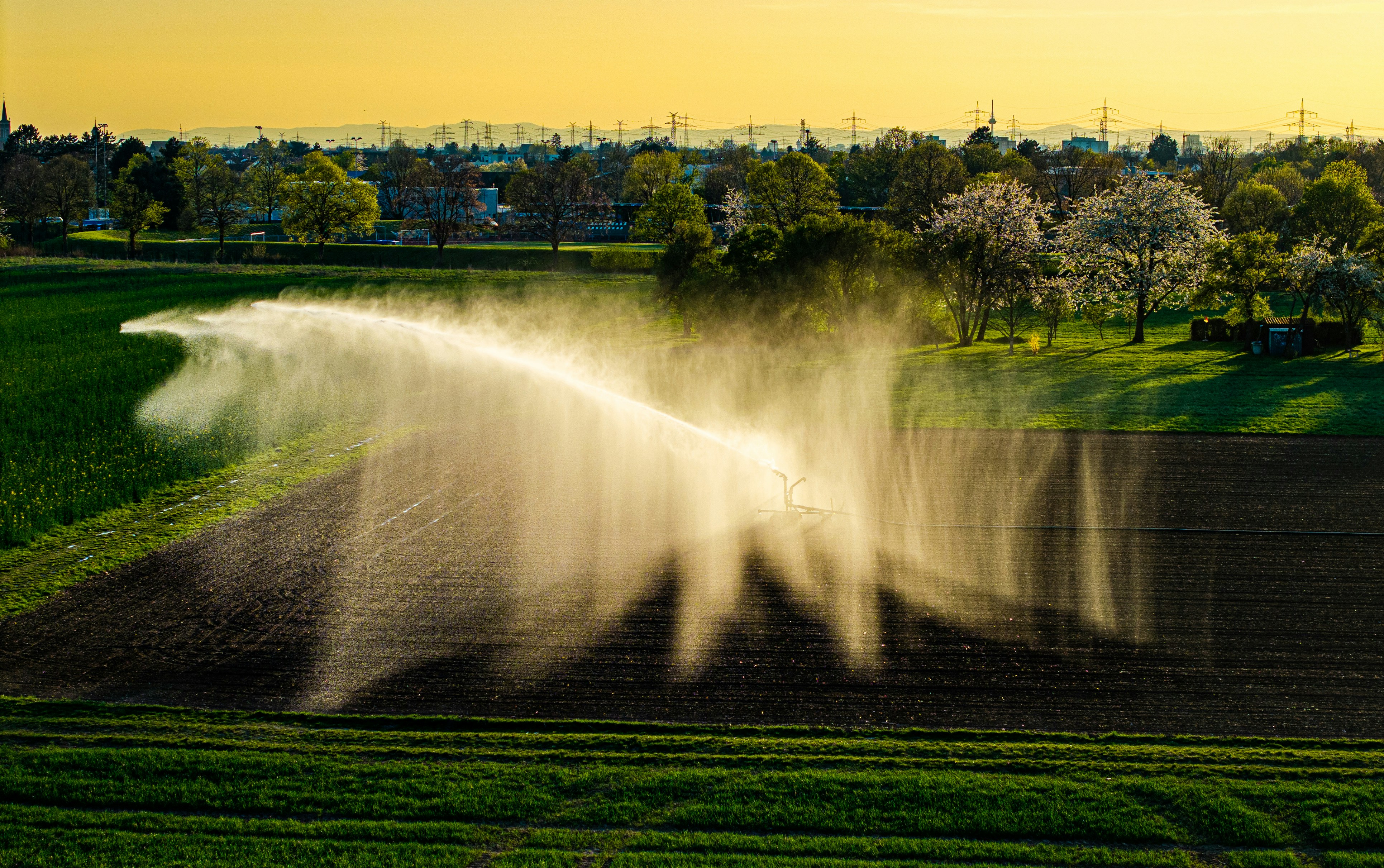 UK farming and agritech: innovation, trends, and opportunities
