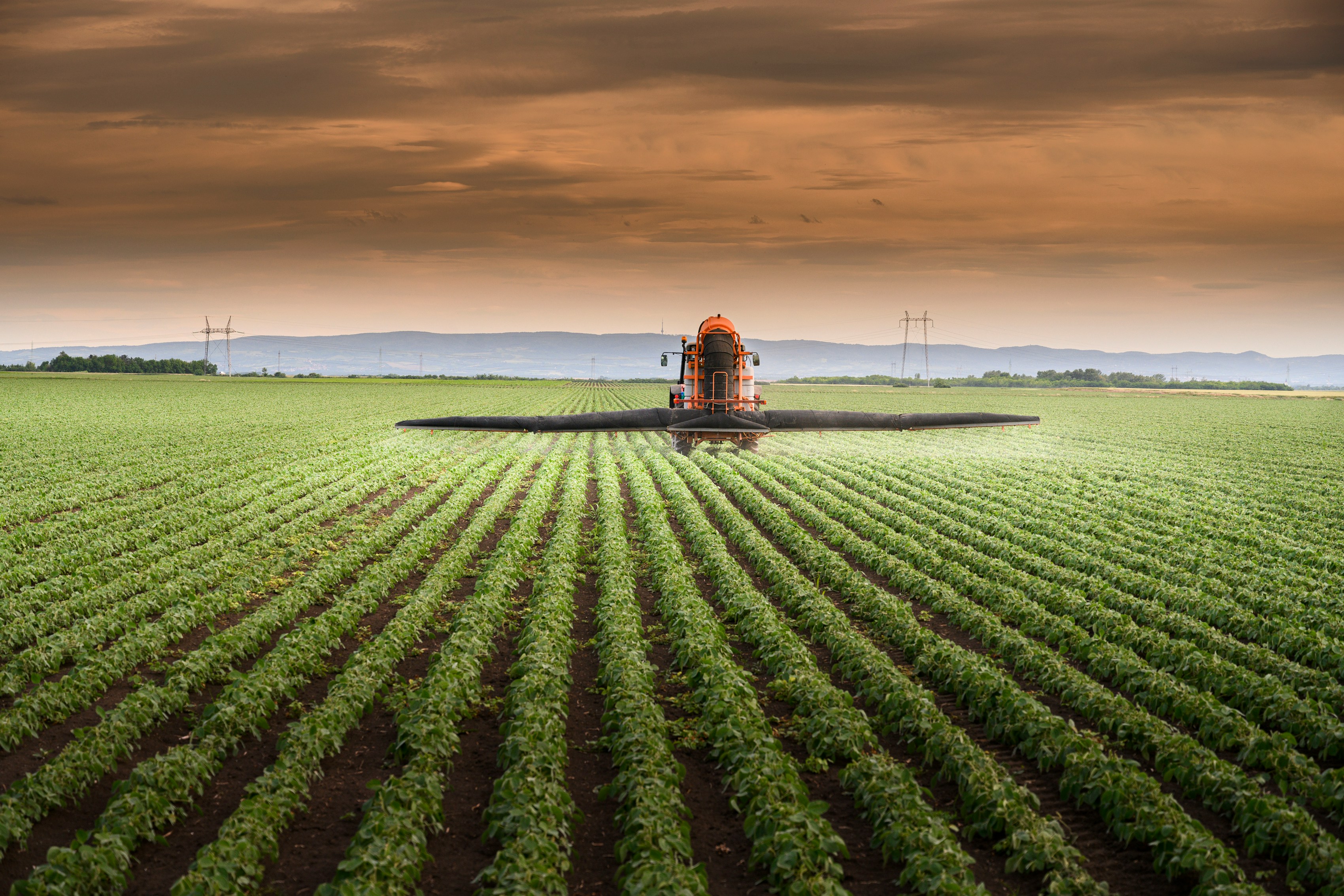 ADOPT - grant funding support for on farm trials of agri innovations: what makes a successful project?