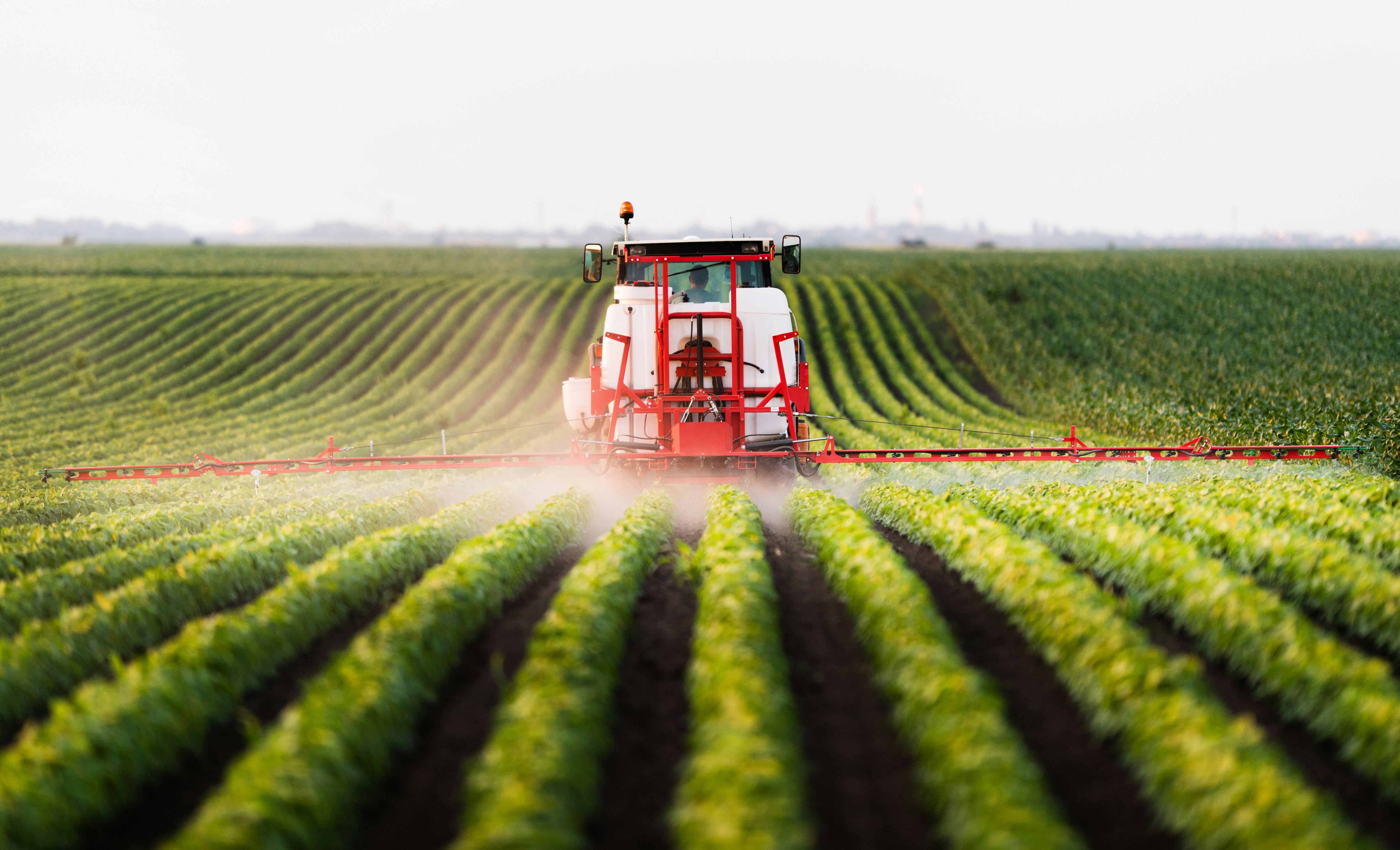 Farming Innovation Programme: Feasibility Round 5