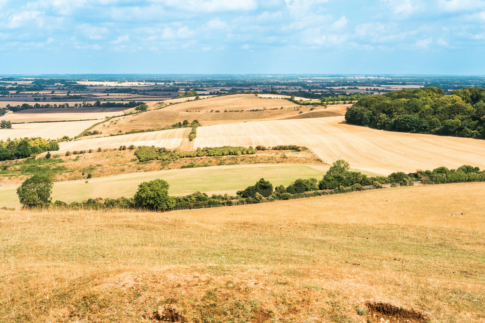 Is UK agri-tech funding enough for a hotter, drier future?