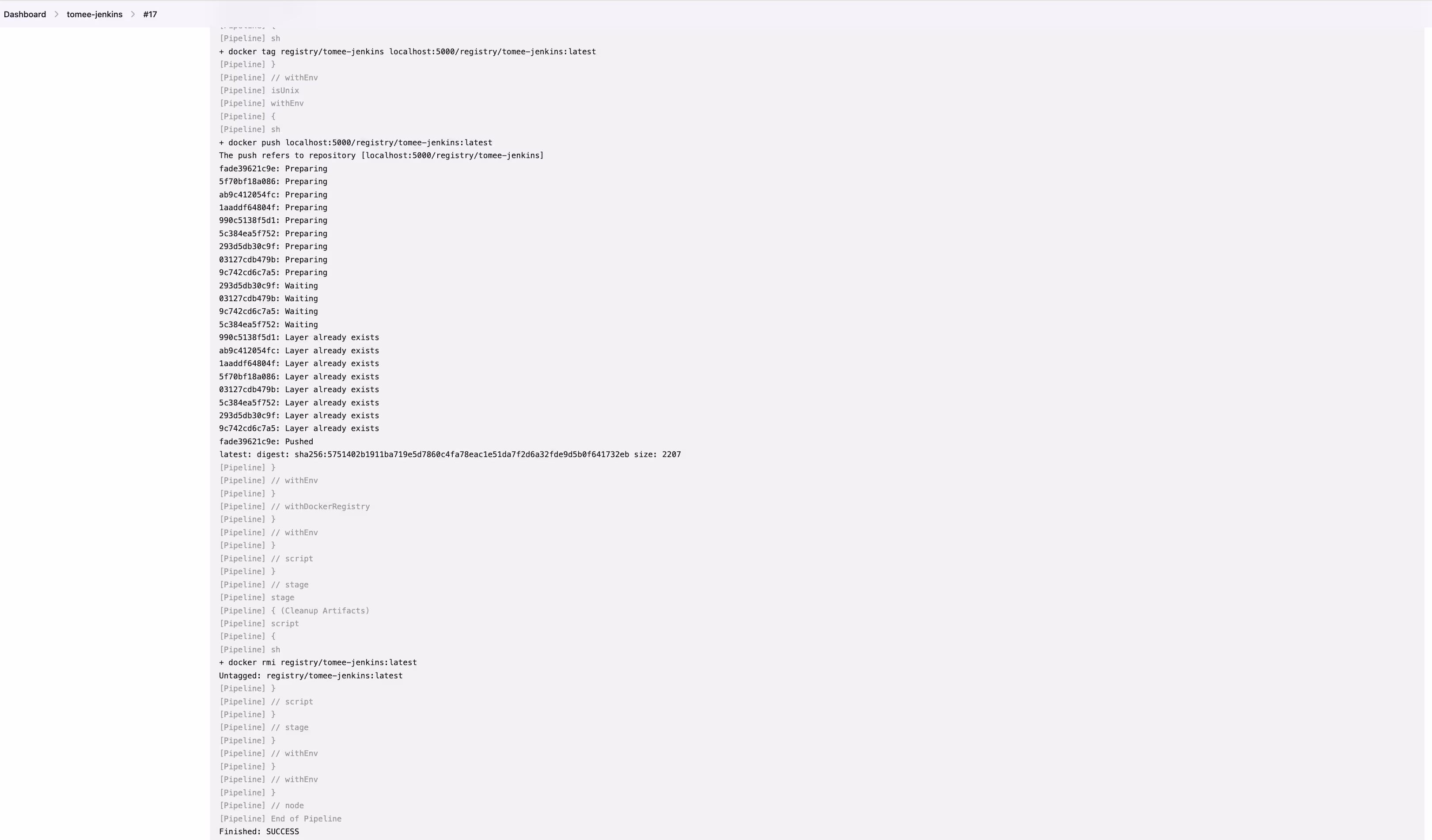 Screenshot showing "Finished: SUCCESS"