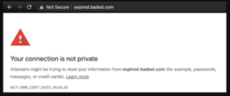Your connection is not private warning