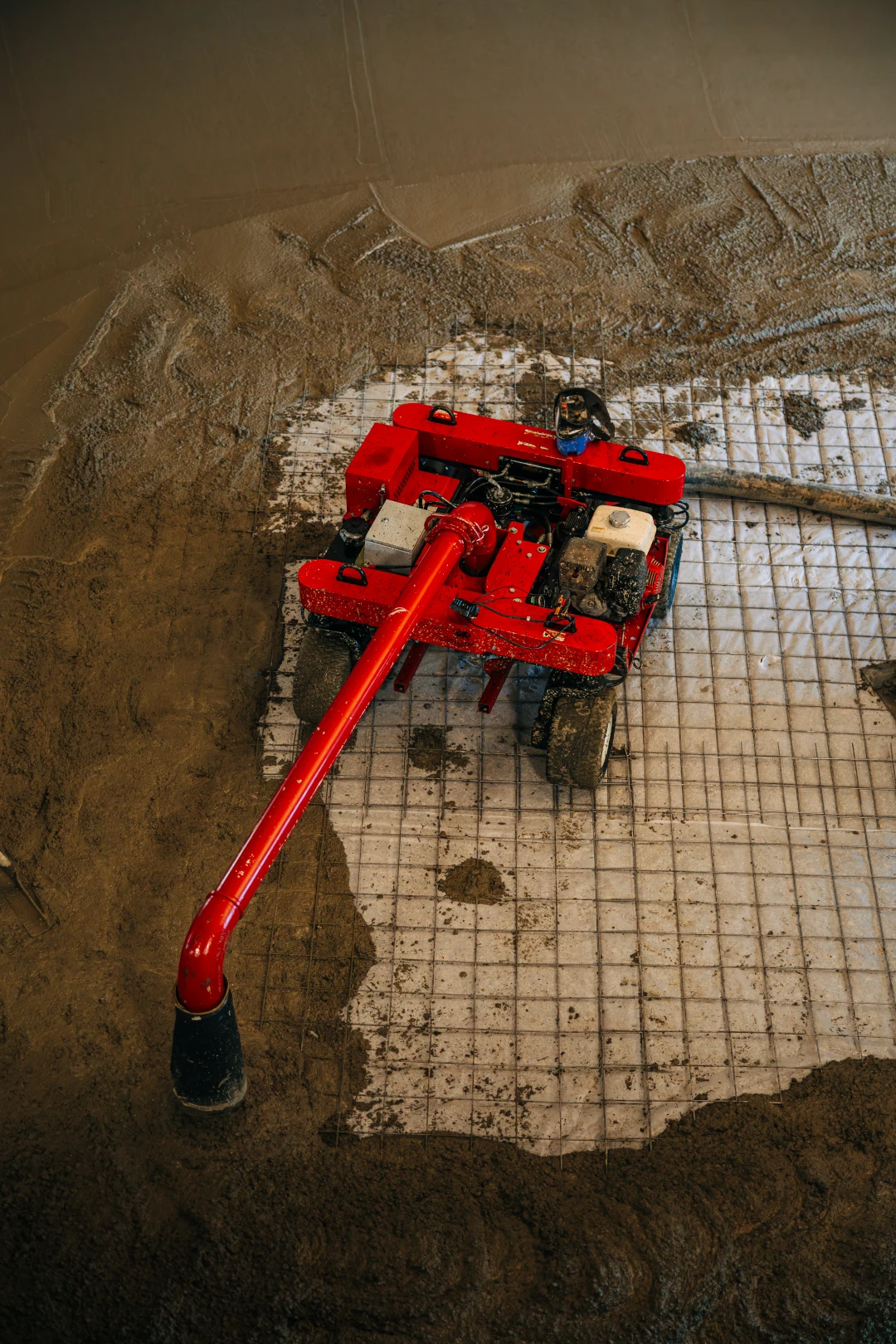 line dragon equipment