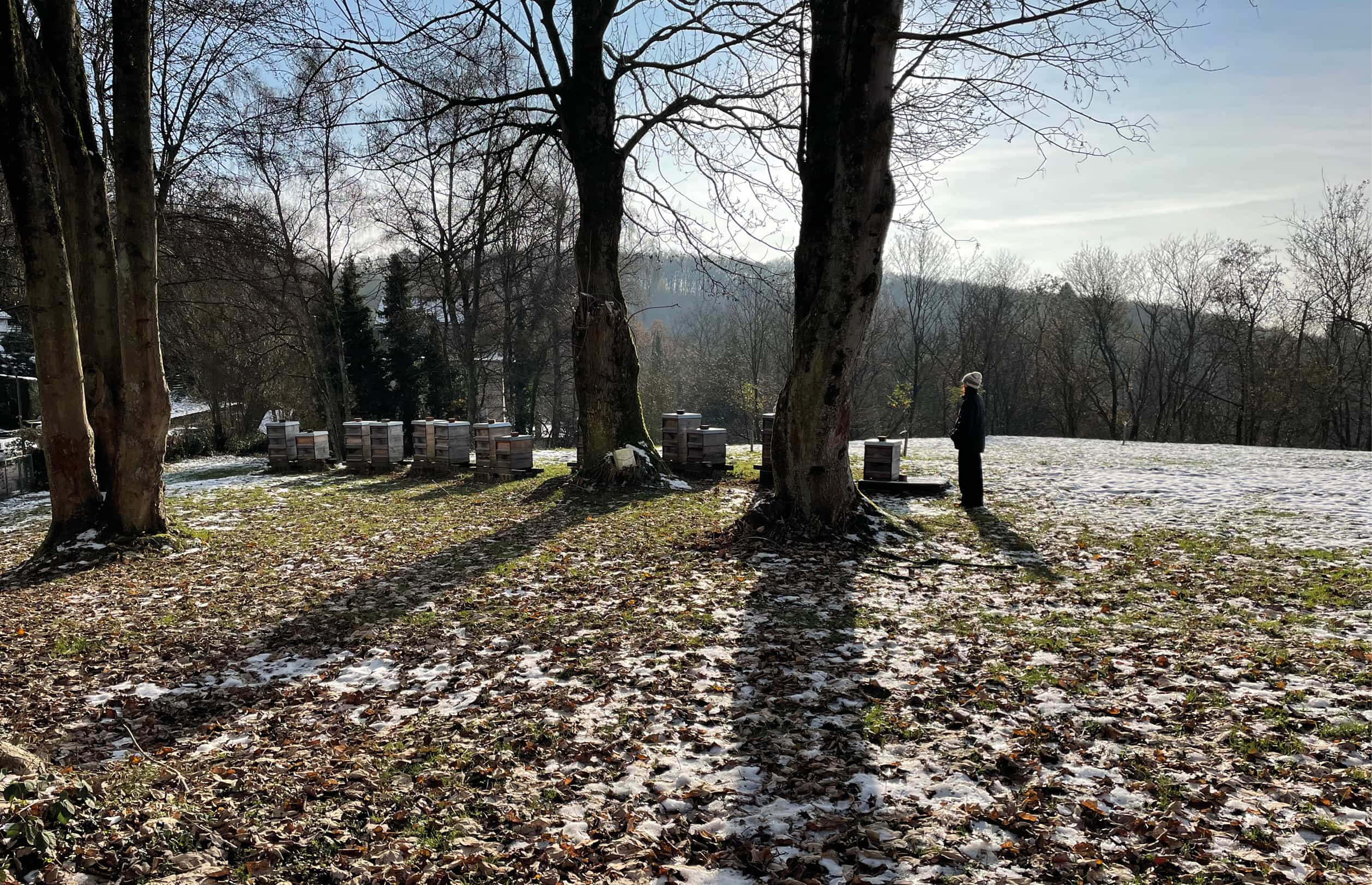 Bienenstöcke im Naturschutzgebiet „Unteres Morsbachtal“ im Bergischen Land