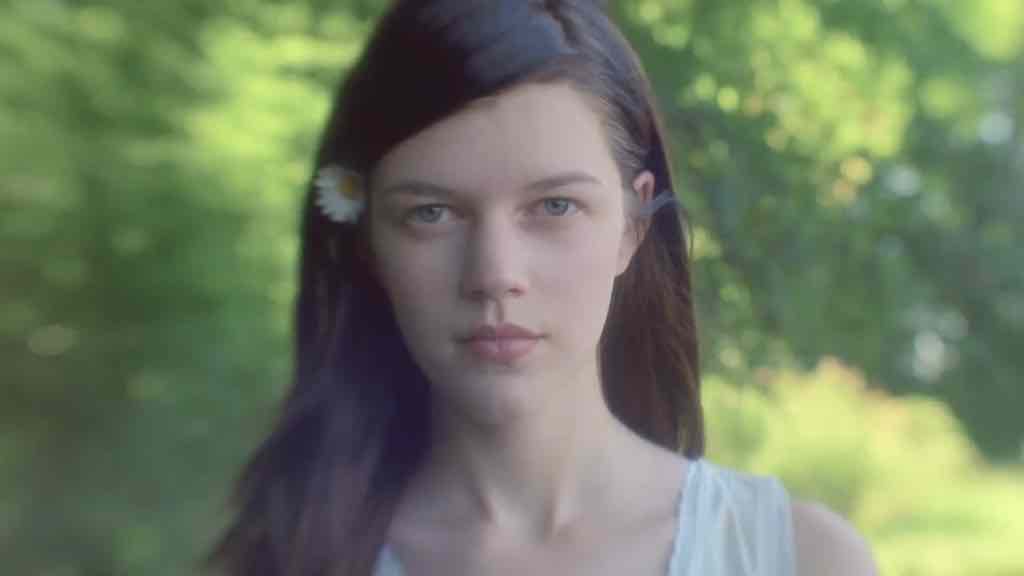 Daisy Dream