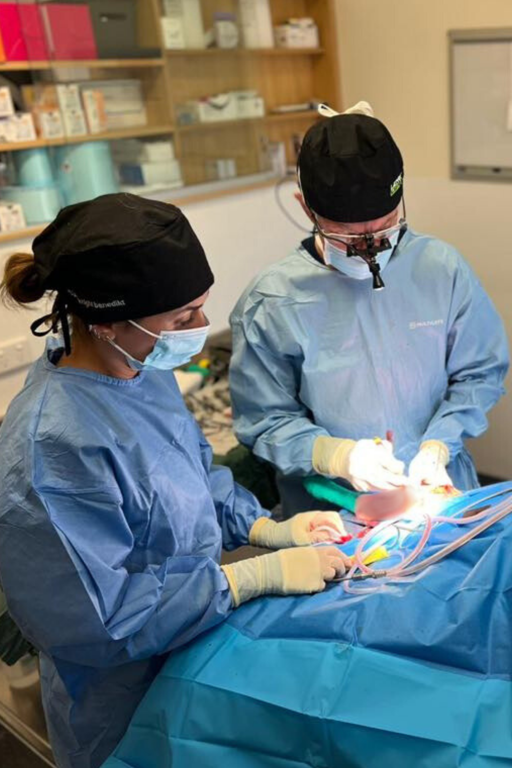 Dr Steve and assistant performing TPLO surgery